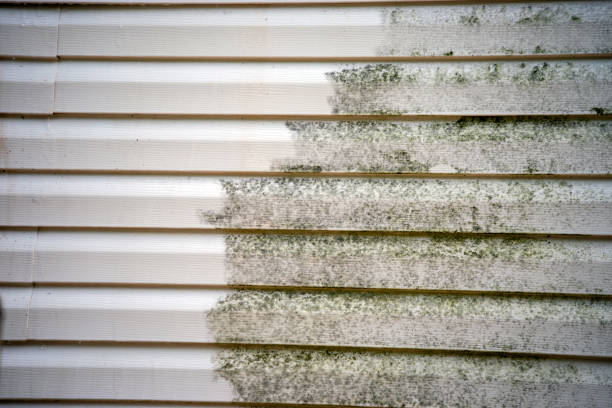 Recycling Services for Junk in Winter Haven, FL